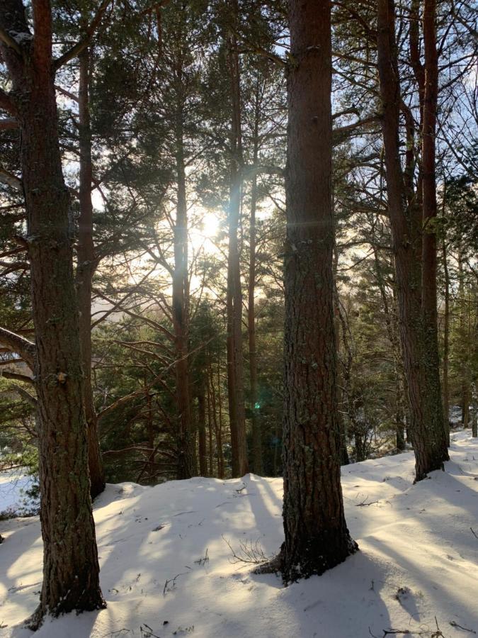 The One - Chalet In The Cairngorms 보트오브가튼 외부 사진